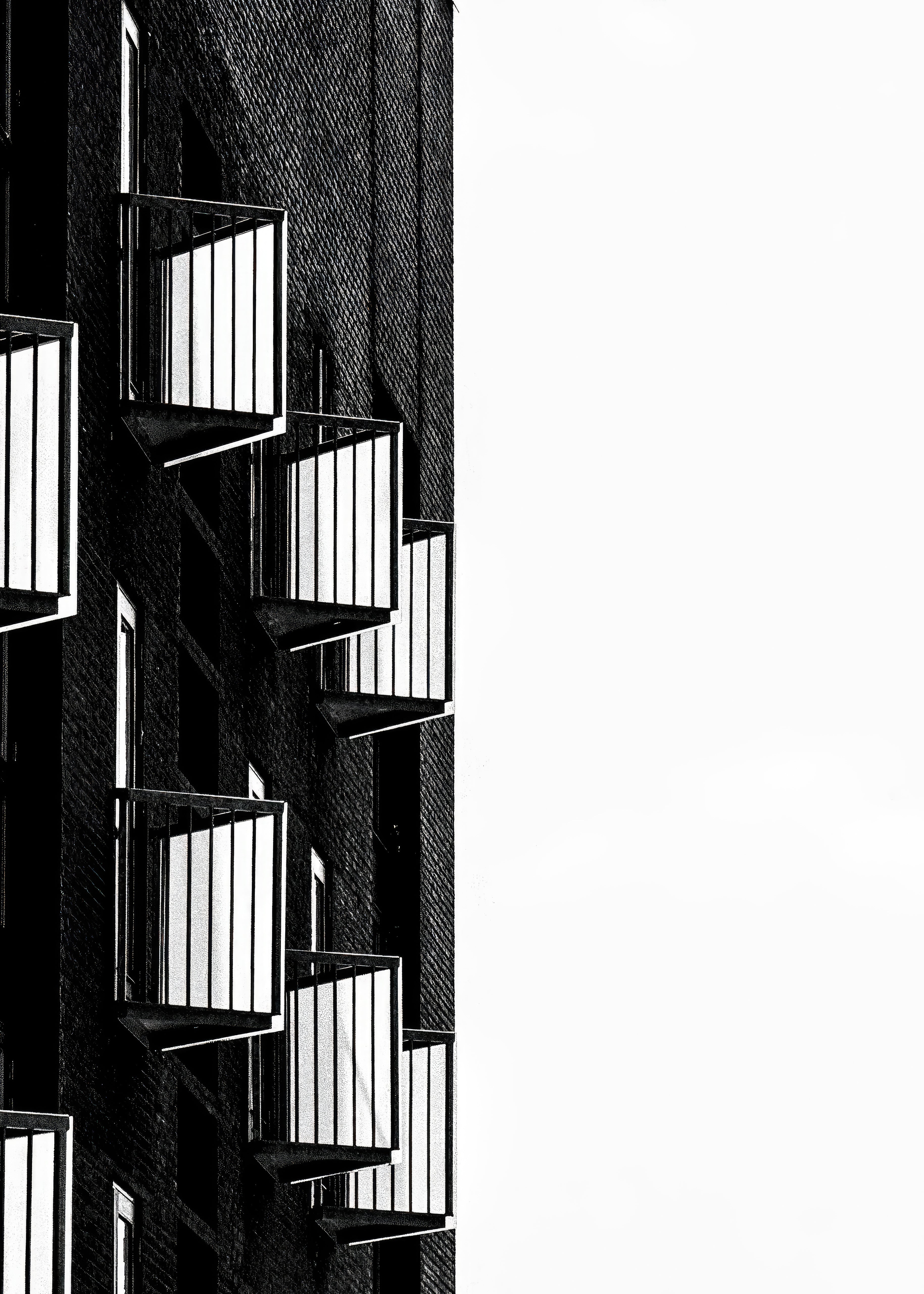 CITY ECHO