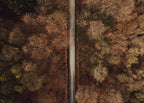 THE ROAD AHEAD