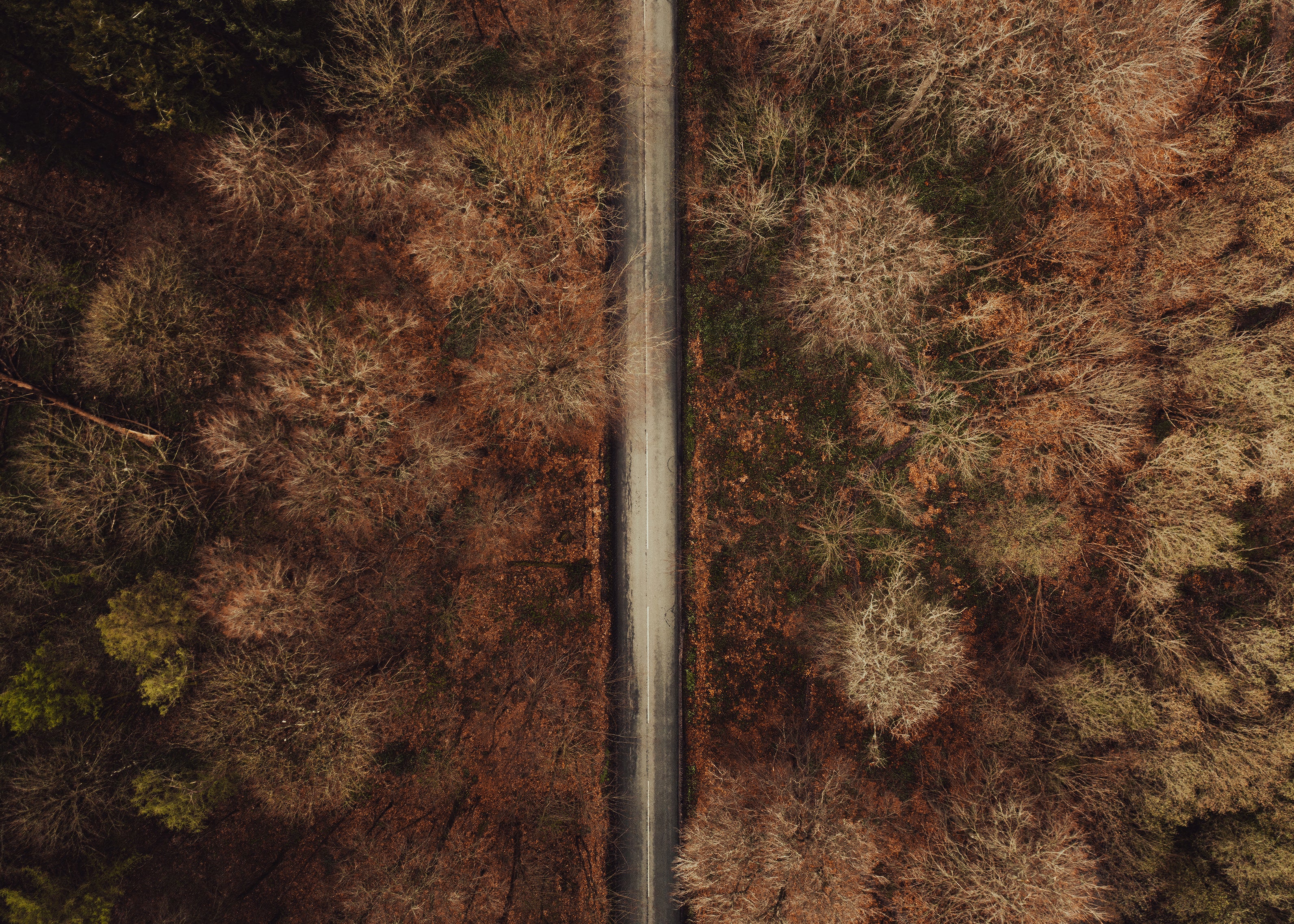 THE ROAD AHEAD