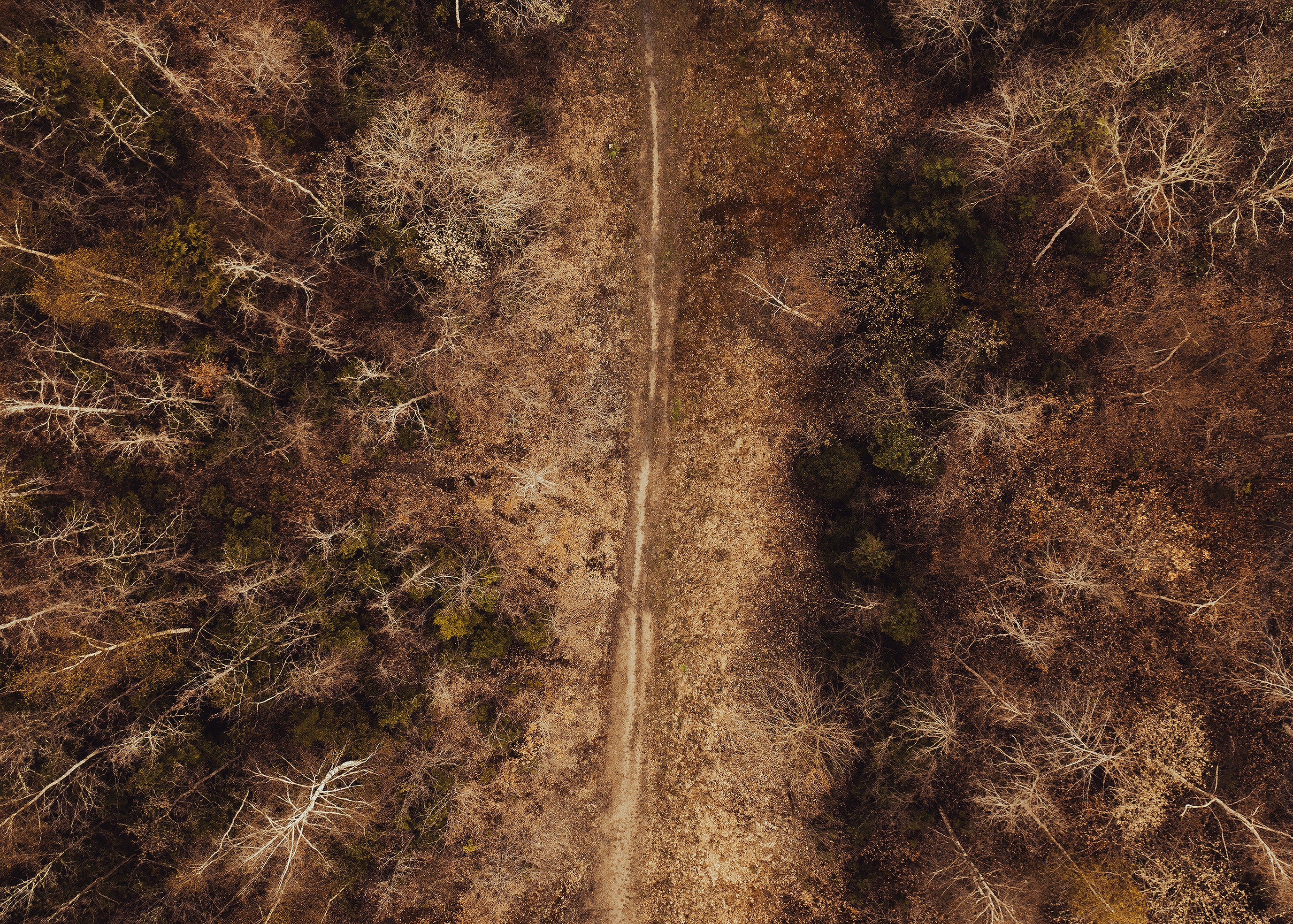 WOODLAND TRAIL
