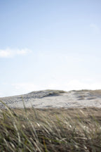 THE COASTEL EDGE