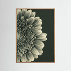 TIMELESS BLOOM #2