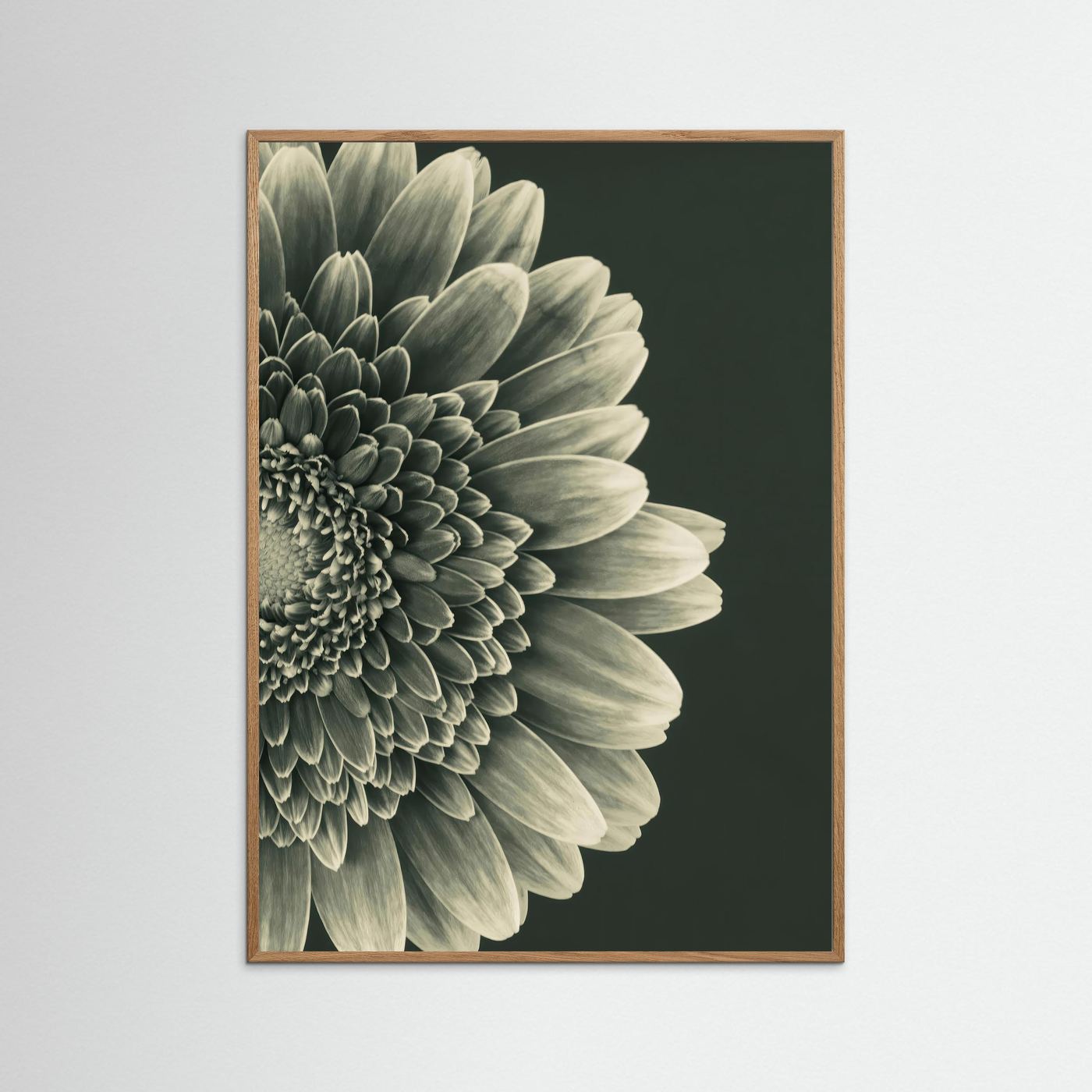 TIMELESS BLOOM #2
