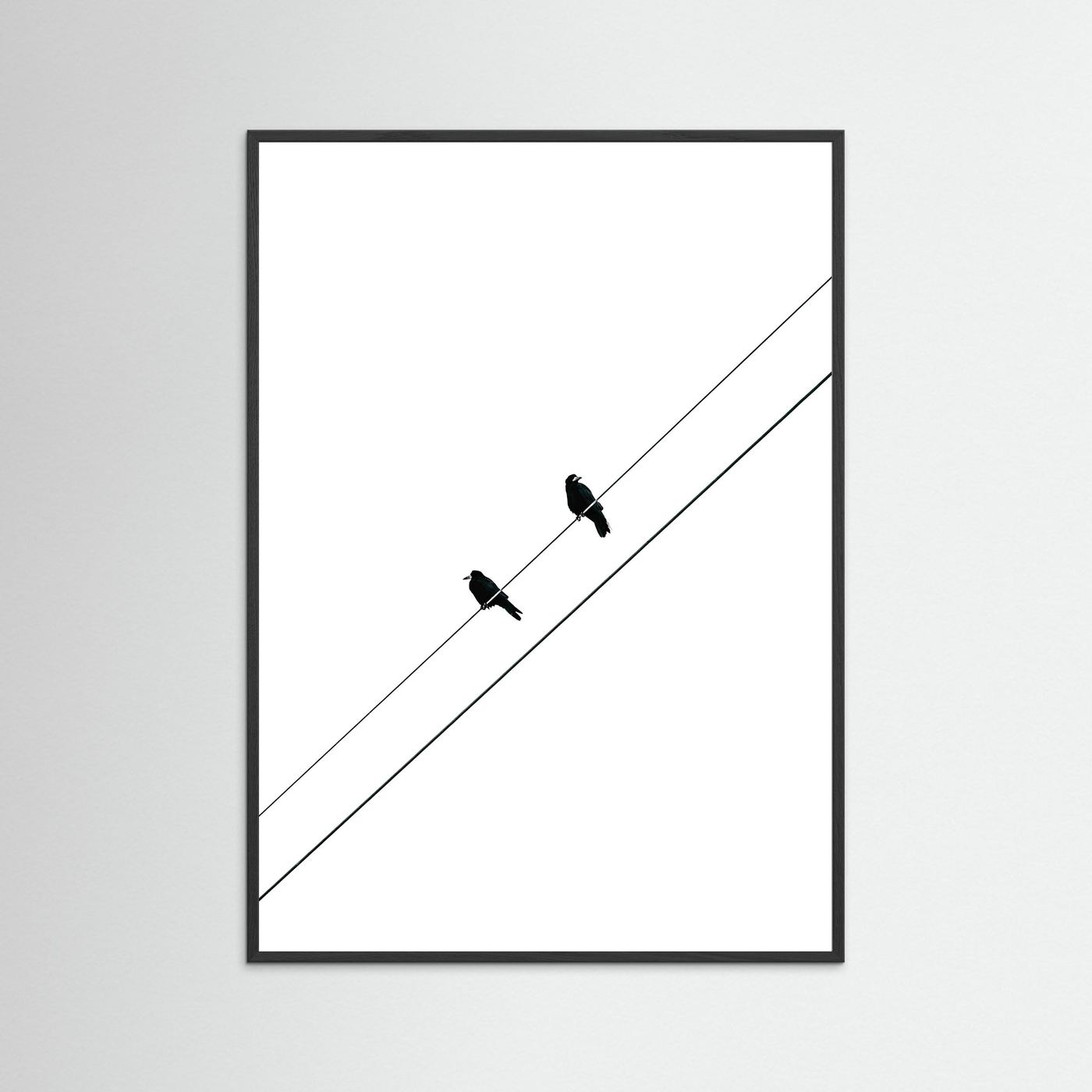 TWO BIRDS