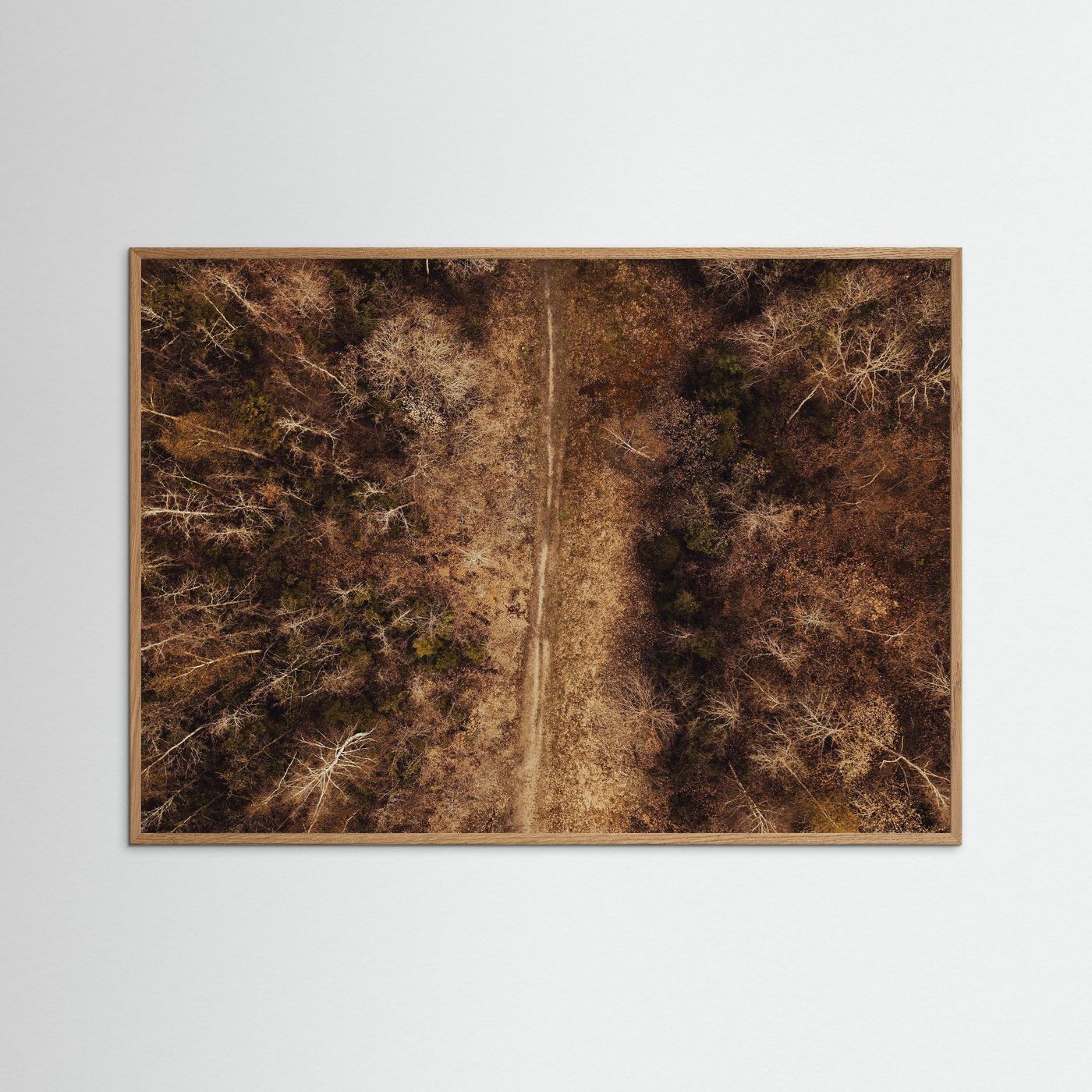WOODLAND TRAIL