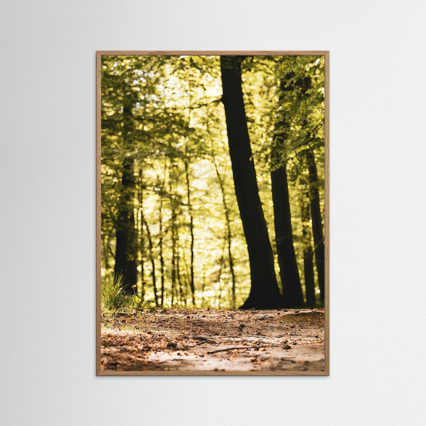 FORESTH PATH
