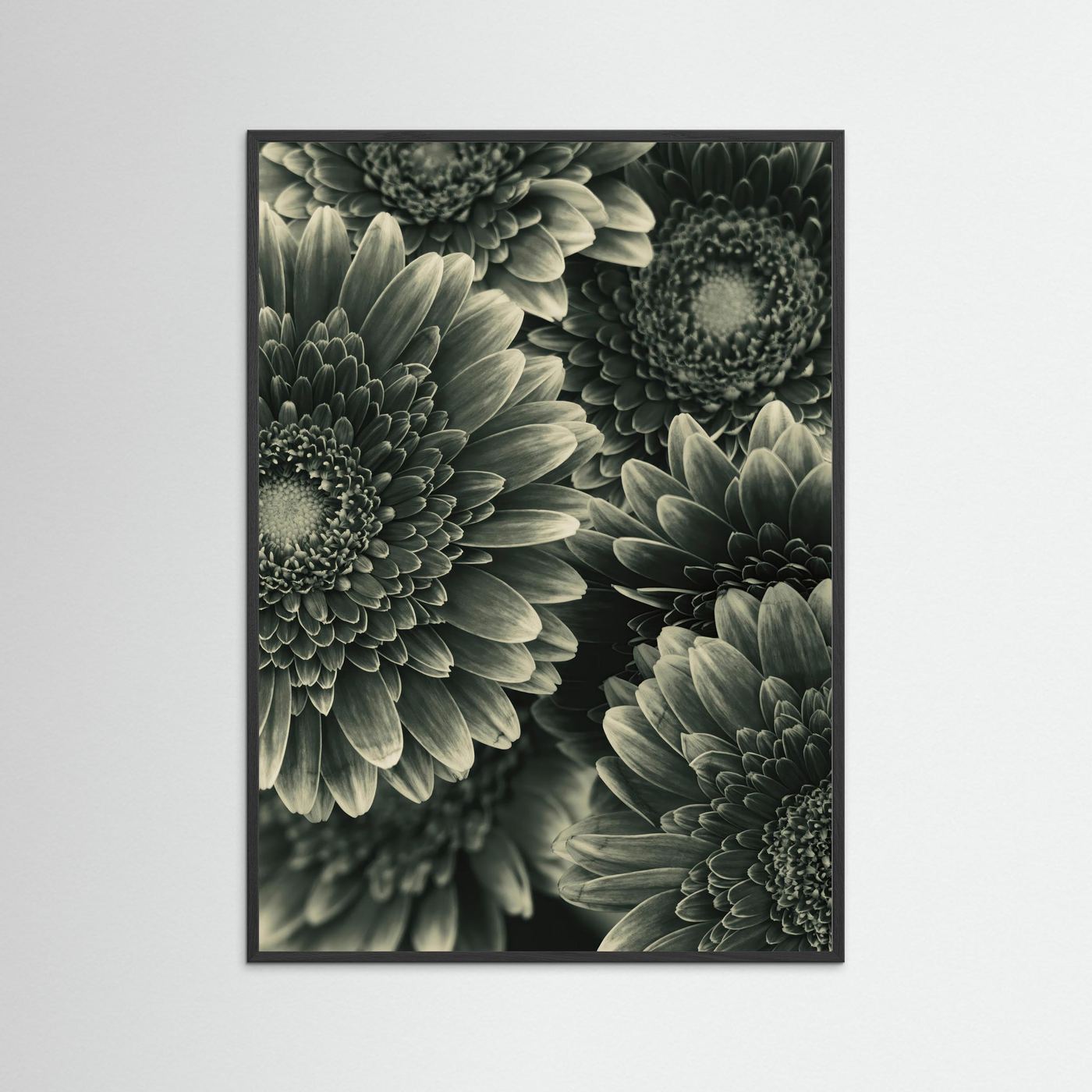 TIMELESS BLOOM #1