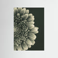 TIMELESS BLOOM #2