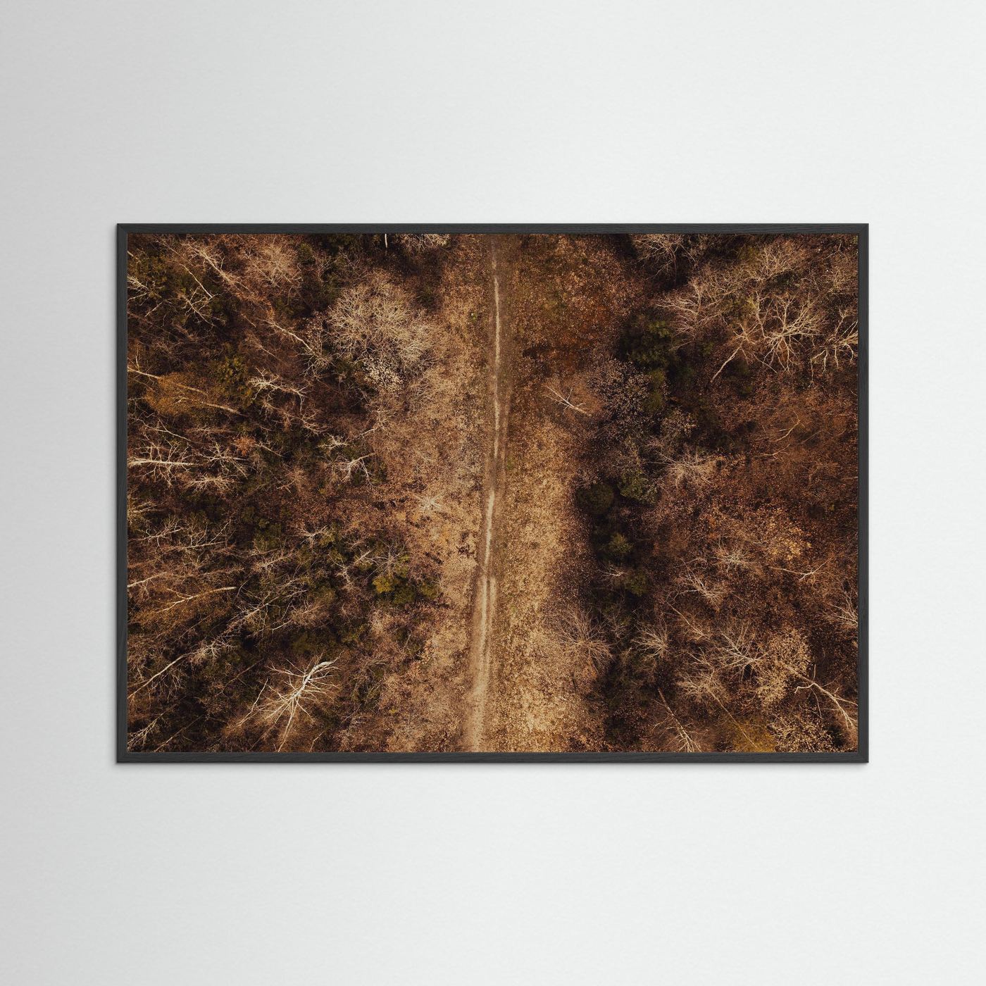 WOODLAND TRAIL