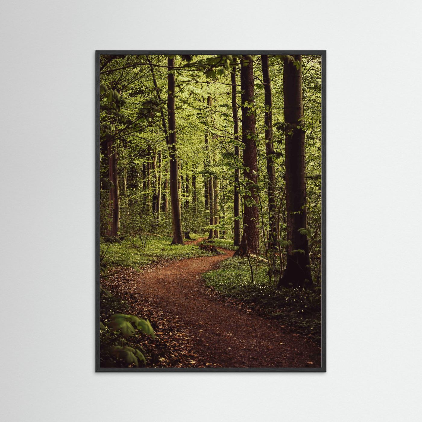 FORREST TRAIL