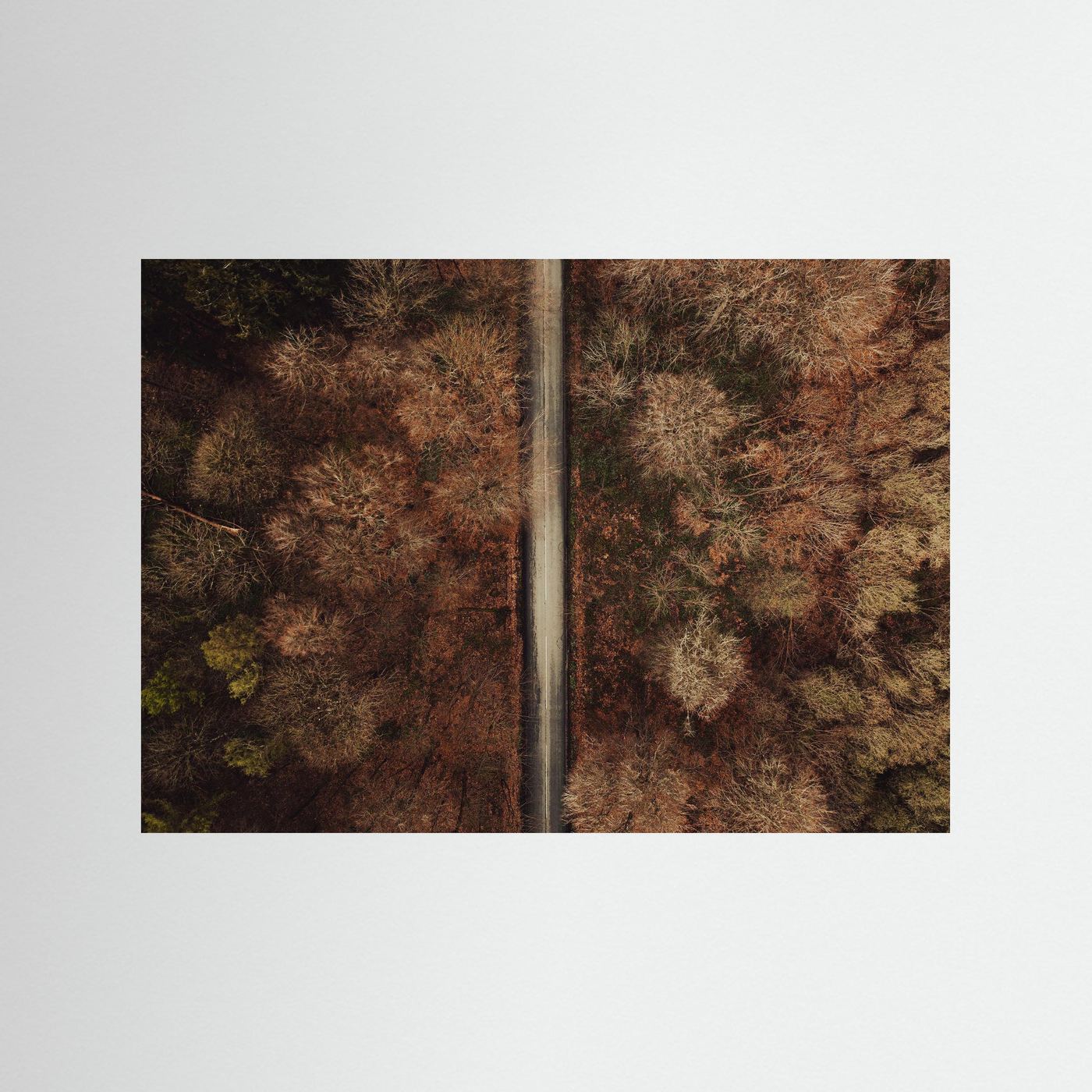 THE ROAD AHEAD