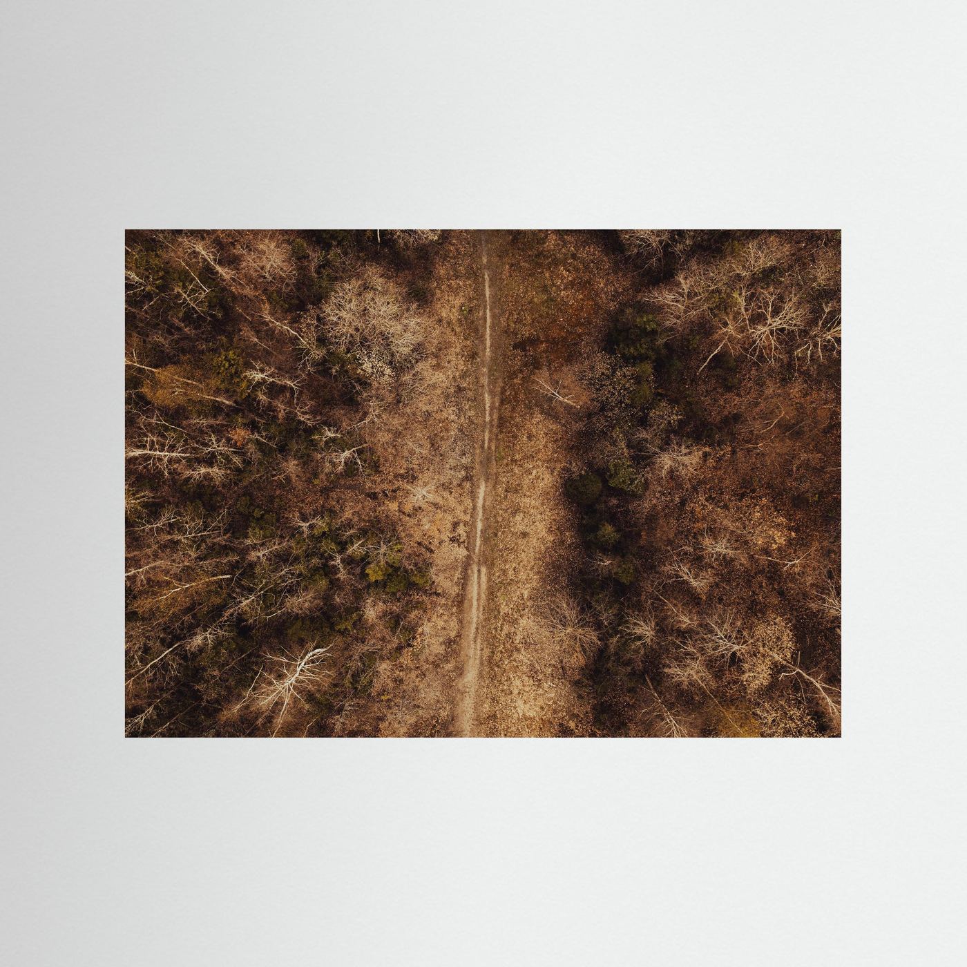 WOODLAND TRAIL