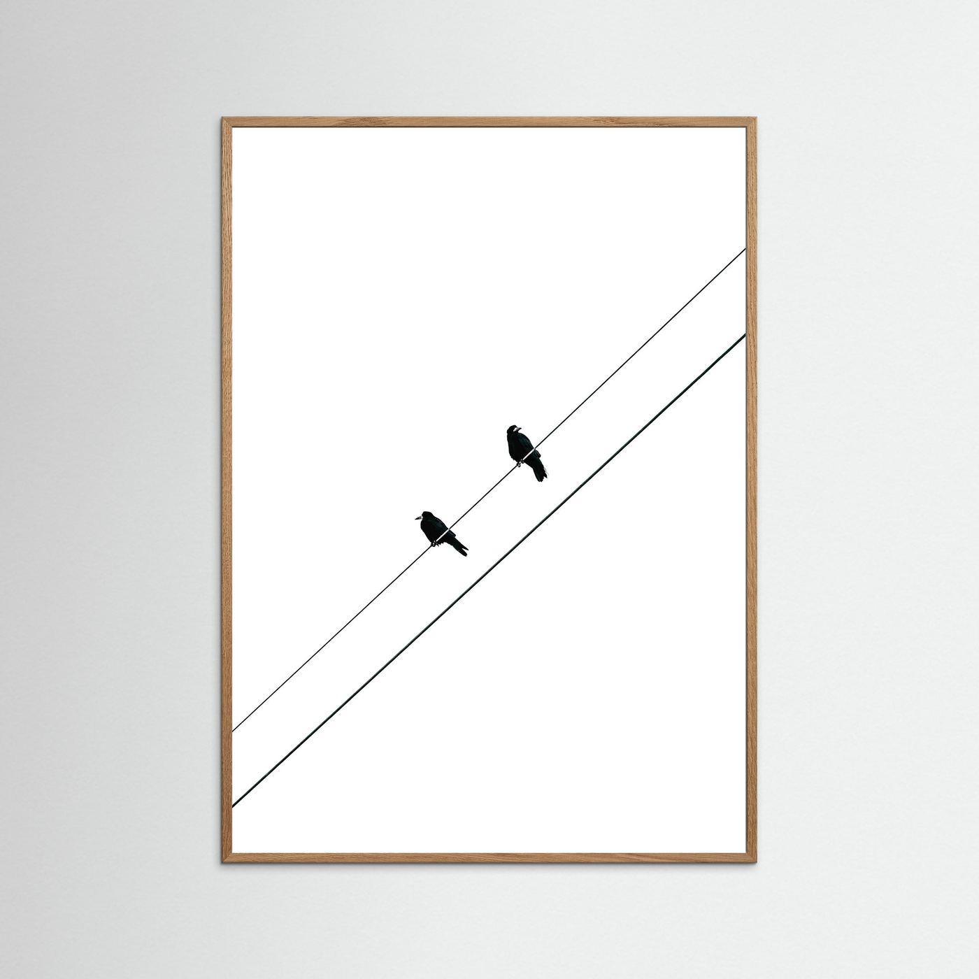 TWO BIRDS