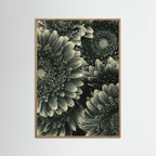 TIMELESS BLOOM #1