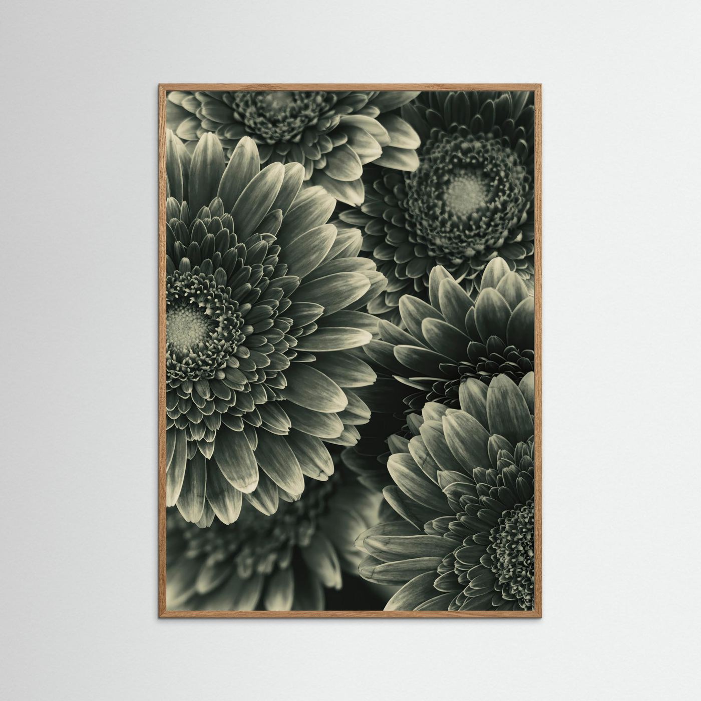 TIMELESS BLOOM #1