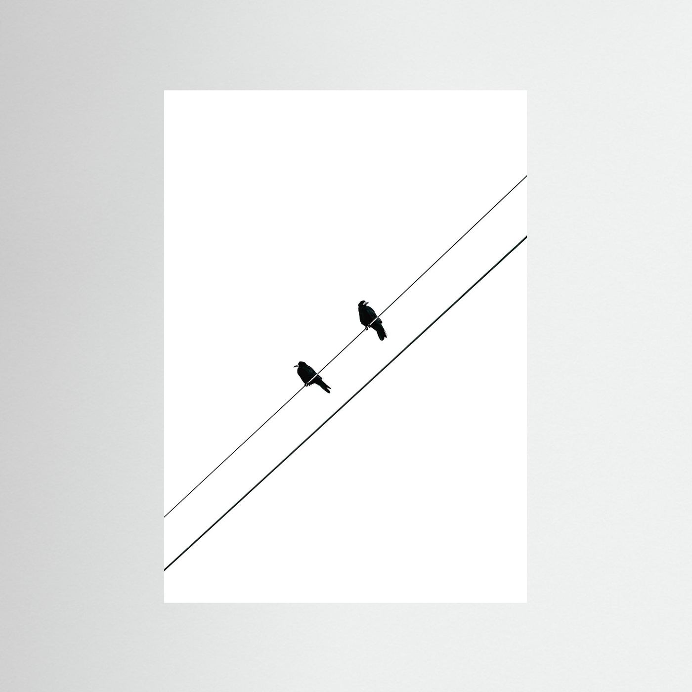 TWO BIRDS