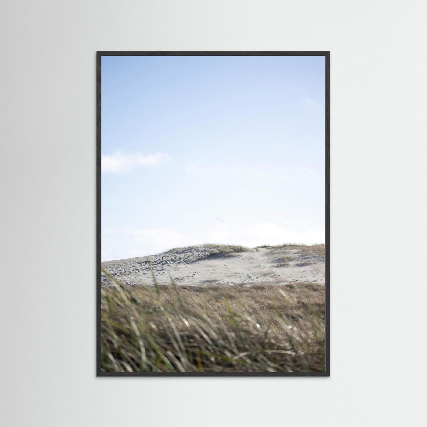 THE COASTEL EDGE