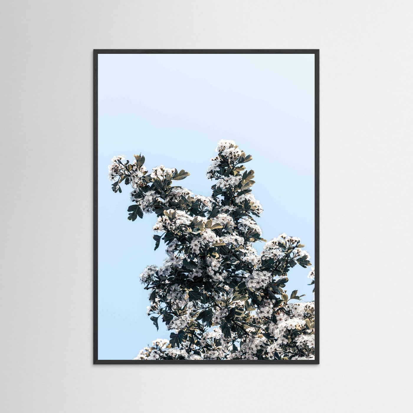 BLOOMING SKY