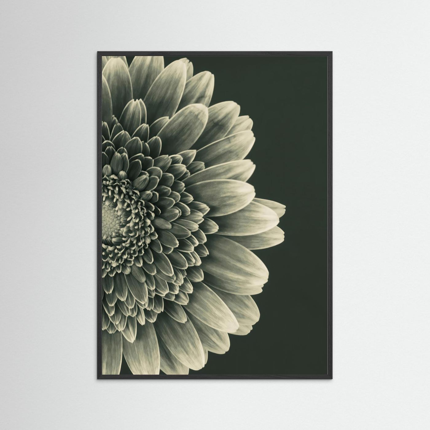 TIMELESS BLOOM #2