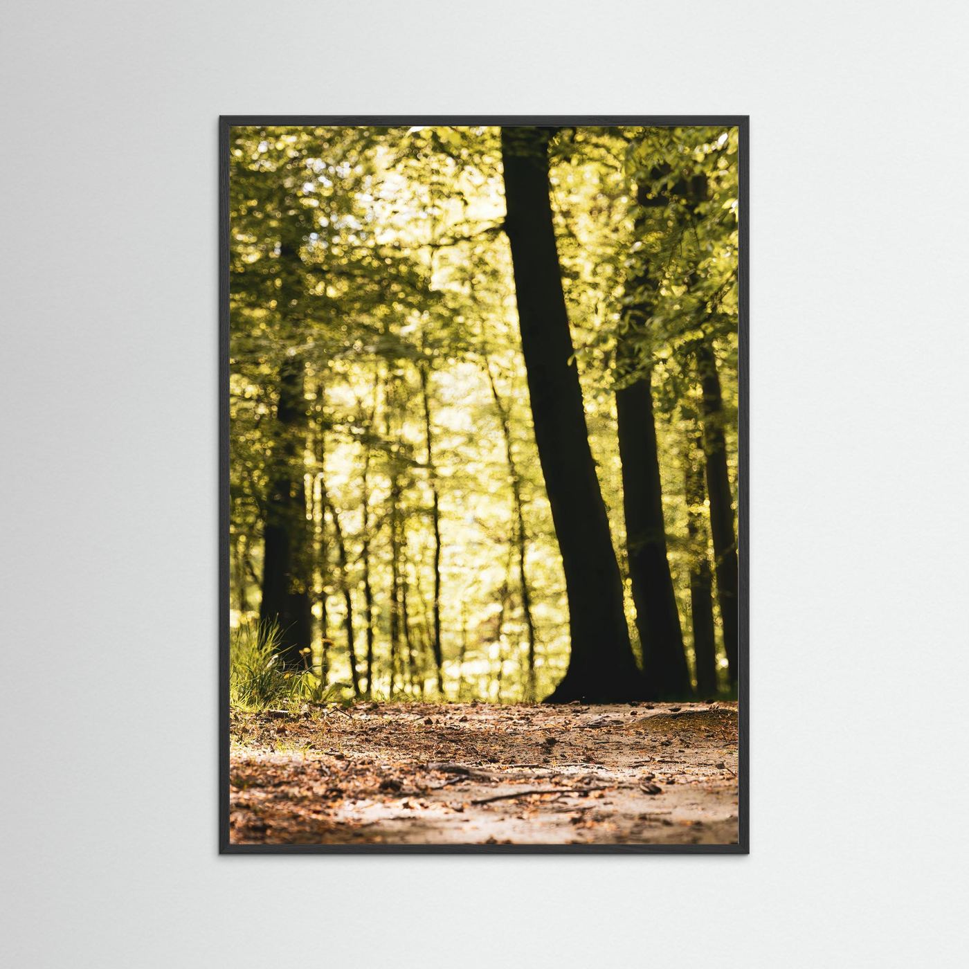 FORESTH PATH