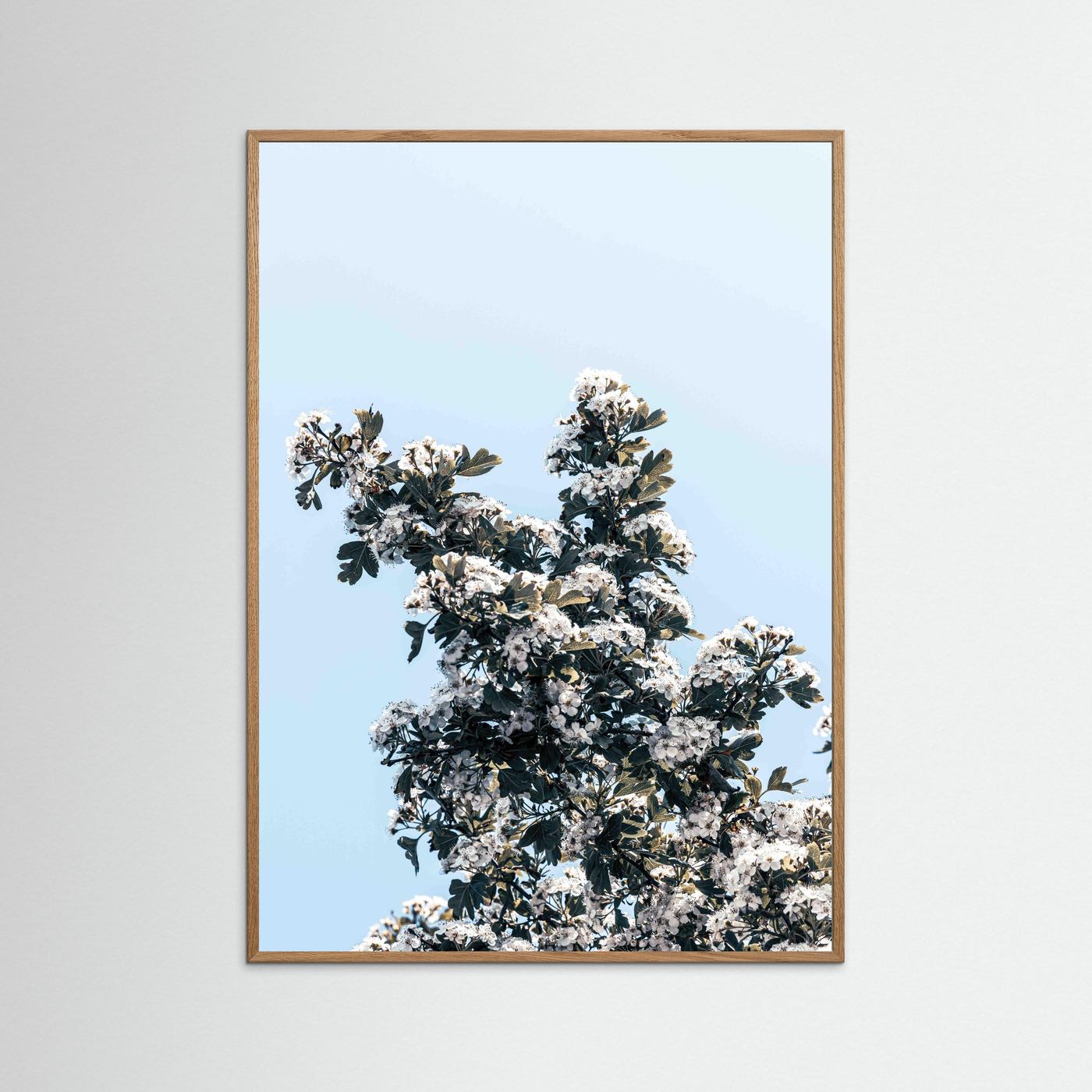BLOOMING SKY