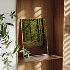 FOREST TRAIL